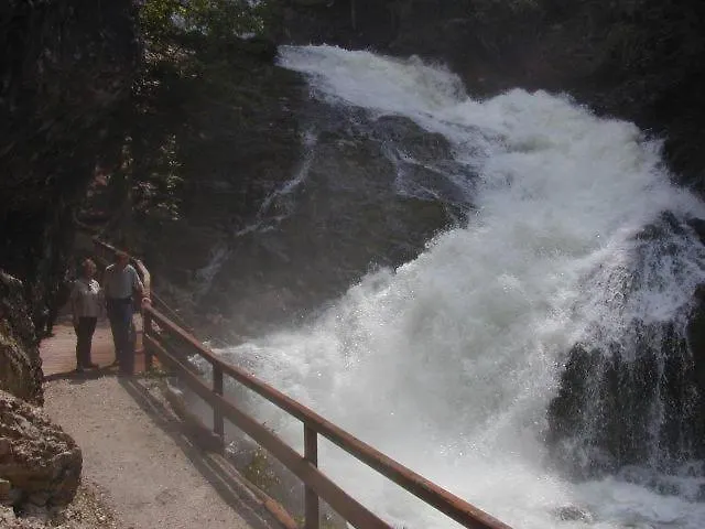 شقة Altes Pfarrhaus التوسي